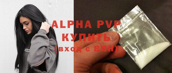 индика Заволжье